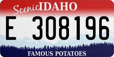 ID license plate E308196