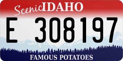 ID license plate E308197