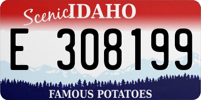 ID license plate E308199
