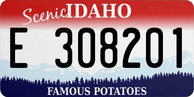 ID license plate E308201