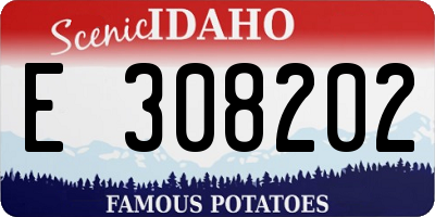 ID license plate E308202