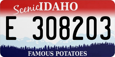 ID license plate E308203