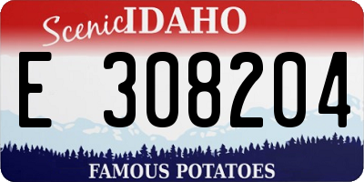 ID license plate E308204