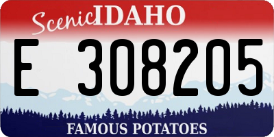 ID license plate E308205