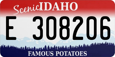 ID license plate E308206