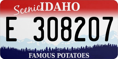 ID license plate E308207