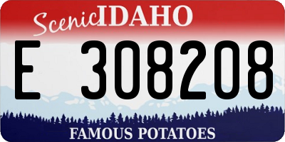 ID license plate E308208
