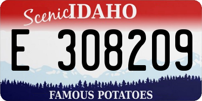 ID license plate E308209