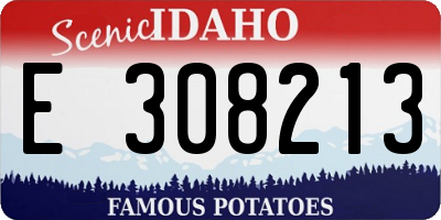 ID license plate E308213