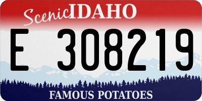 ID license plate E308219