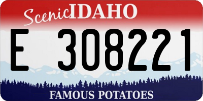 ID license plate E308221