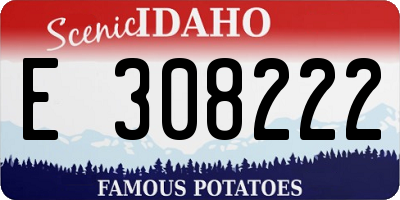 ID license plate E308222