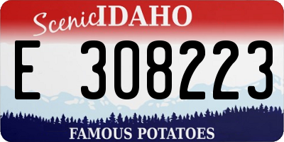 ID license plate E308223