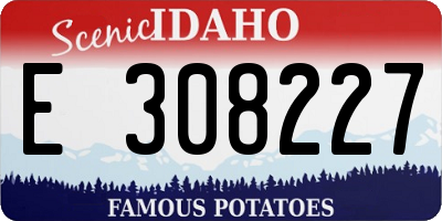 ID license plate E308227