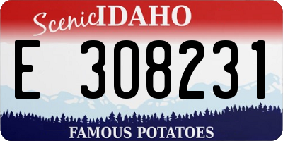 ID license plate E308231