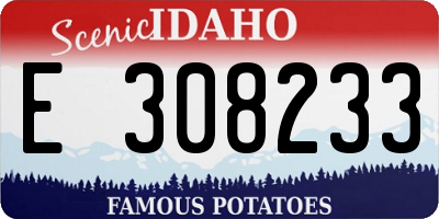 ID license plate E308233