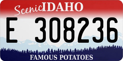 ID license plate E308236