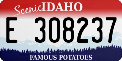 ID license plate E308237