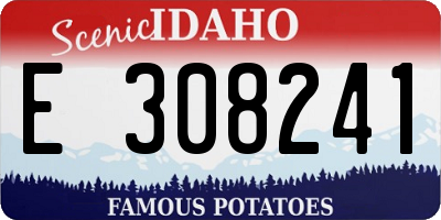 ID license plate E308241