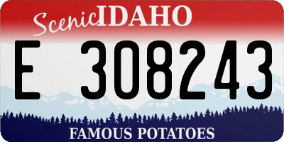 ID license plate E308243