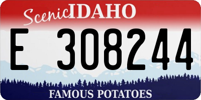 ID license plate E308244