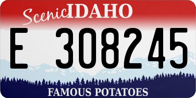ID license plate E308245