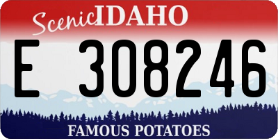 ID license plate E308246