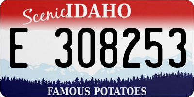 ID license plate E308253