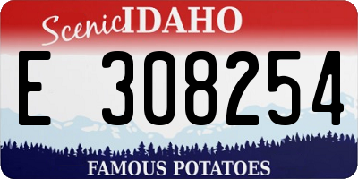 ID license plate E308254