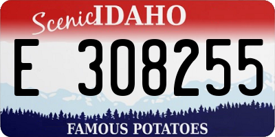 ID license plate E308255