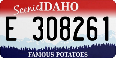 ID license plate E308261
