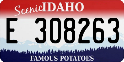 ID license plate E308263