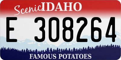 ID license plate E308264