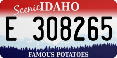 ID license plate E308265