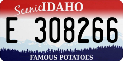 ID license plate E308266