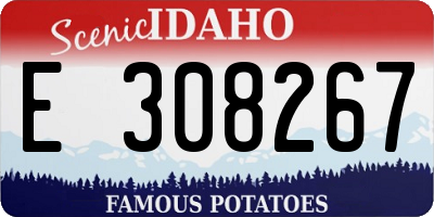 ID license plate E308267