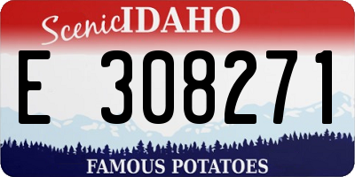 ID license plate E308271