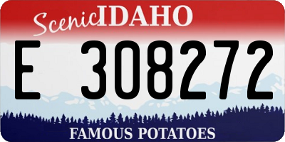 ID license plate E308272