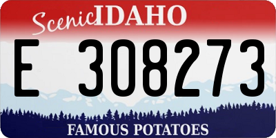ID license plate E308273