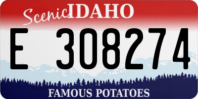 ID license plate E308274