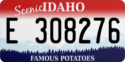 ID license plate E308276