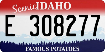 ID license plate E308277