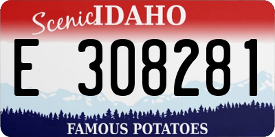 ID license plate E308281