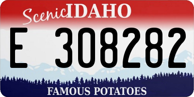 ID license plate E308282