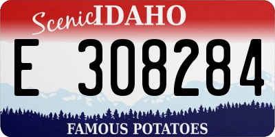 ID license plate E308284