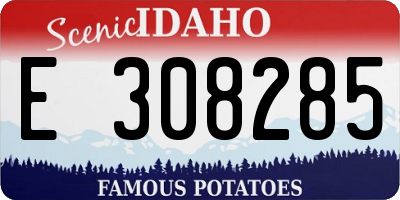 ID license plate E308285