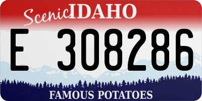 ID license plate E308286
