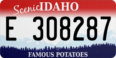 ID license plate E308287