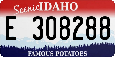 ID license plate E308288