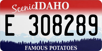 ID license plate E308289